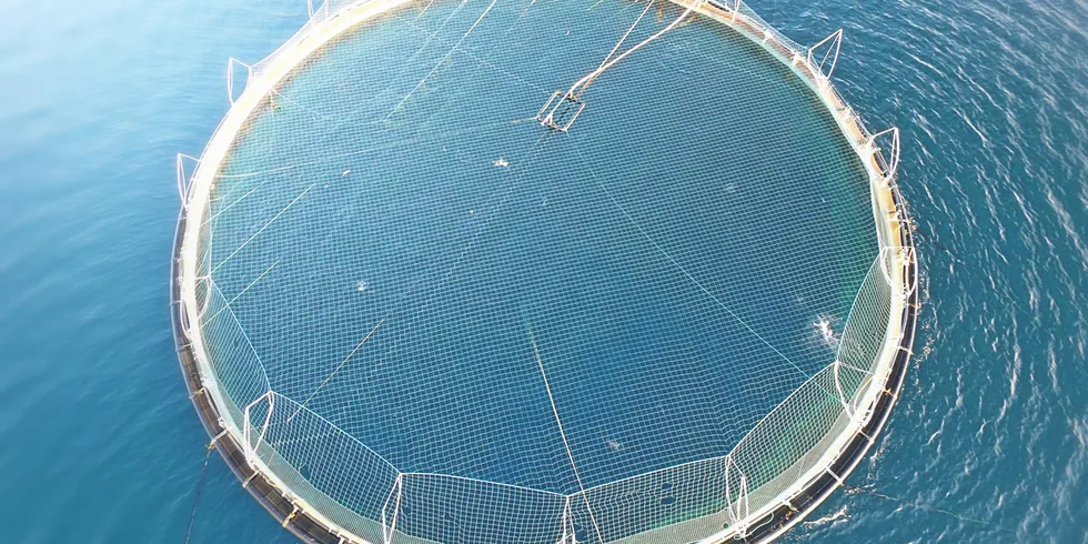 Norway nets another year as by far the leading global salmon producer.