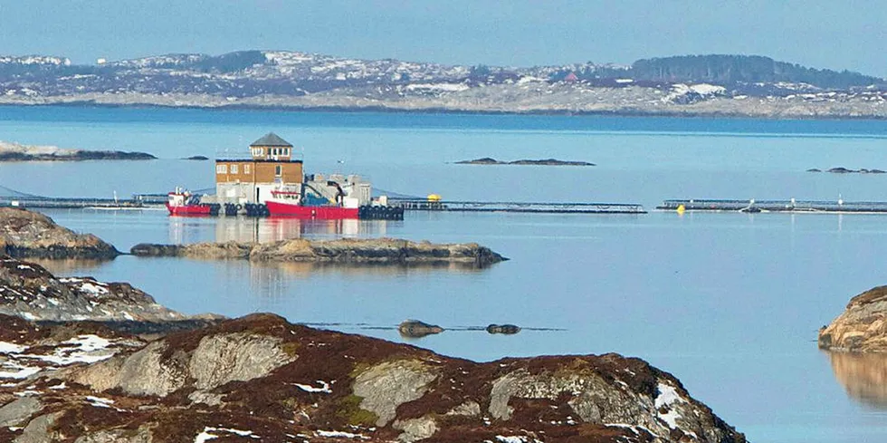 Several thousand salmon have escaped from Omsoyholman (pictured) and a tear was discovered in a net at the neighboring facility in Edoya.