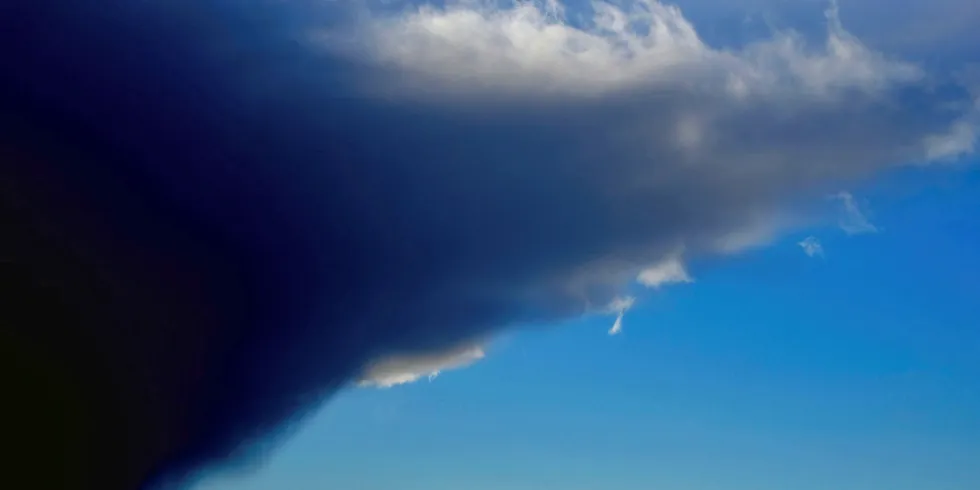 Wind turbines near Bremerhaven, northern Germany.
