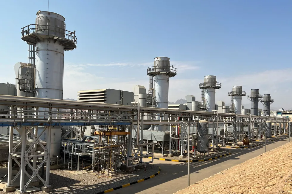 Green dream: turbines in Egypt partly fuelled by green hydrogen