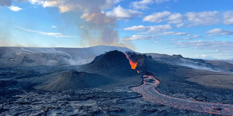 Over 800 earthquakes and the likelihood of a volcanic eruption have damaged the fishing town of Grindavik, Iceland, threatening the future of several seafood companies operating in the area.