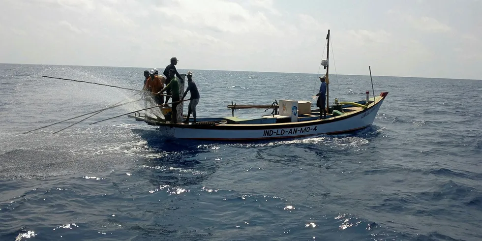 One-by-one tuna fishing in Lakshadweep, India.