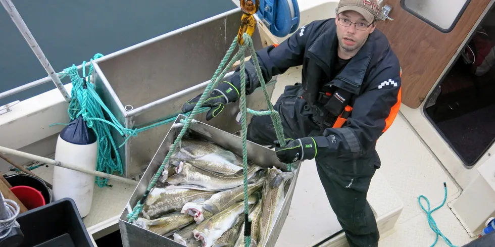 Fisherman Morten Urbrott uploads a brailer taking his cod catch on land. Prices for cod are not expected to fall anytime soon.
