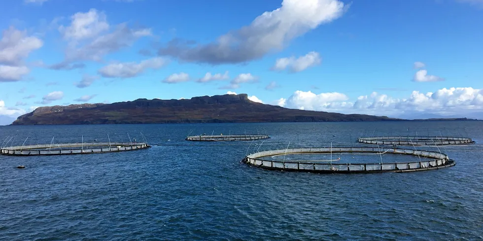 Mowi Scotland has experienced increasingly challenging environmental conditions over the past few years driven by rising seawater temperatures.
