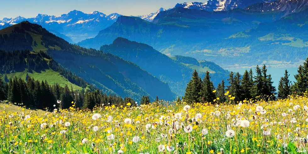 Landscape of the Swiss Alps.
