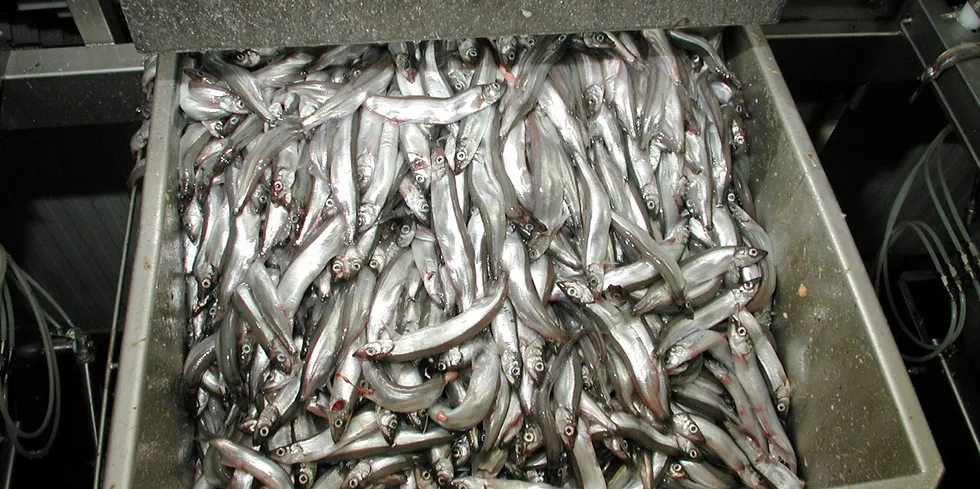 Pelagic fish from the company's own fishing operations will provide raw material to produce fishmeal at the expanded Neskaupstadur plant.