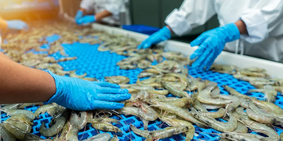 The US Department of Commerce made its latest ruling on countervailing duties (CVDs) against Ecuador and Indonesia.