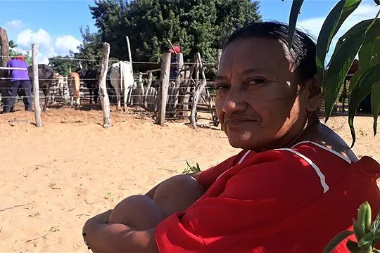 Wayuu indigenous communities are among those engaging in consultations over wind farms on La Guajira peninsula