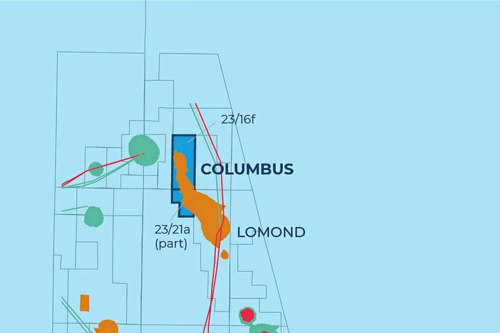 Serica Columbus. Serica Columbus.