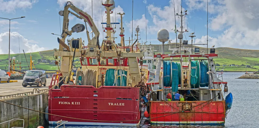 Ireland's fishermen feel betrayed by Brexit.