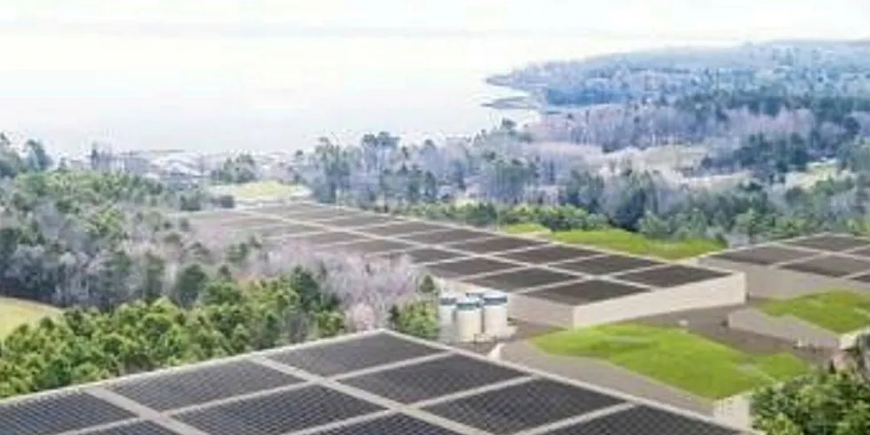 Nordic Aquafarms is pushing on regardless of opposition