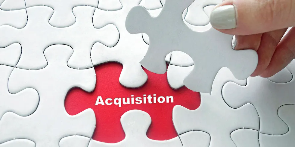 Which Chilean salmon companies are targets for acquisition and which are looking to grow through acquisitions?