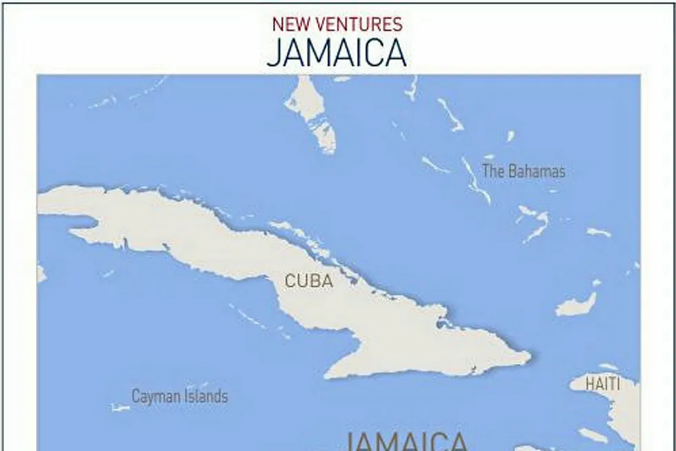 More time to find a partner: Tullow in Jamaica
