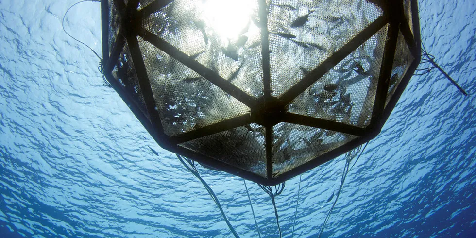 Kampachi Farms operated its Velella Gamma project for almost a year, located 6 miles off the coast of Kona, Hawaii, in 2014. The Velella Epsilon, proposed for 40 miles offshore of Sarasota, Florida, would culture the same species, which is native to the Gulf of Mexico.