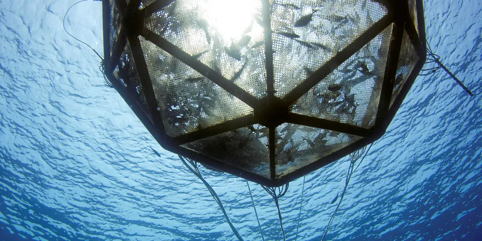 The proposed farm site is 40 miles offshore Sarasota, Florida, and would raise kampachi.