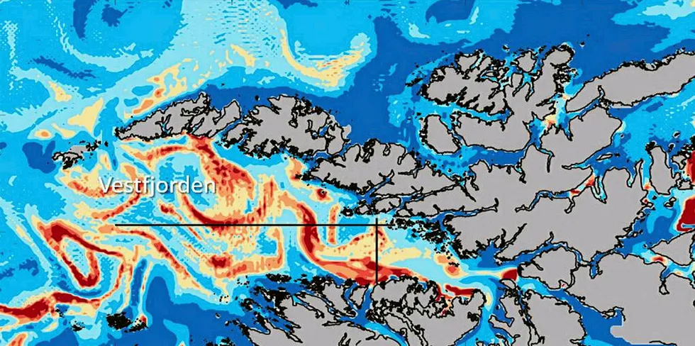 The map shows the growth of the algae Chrysochromulina in Vestfjord in 2008, when it also killed salmon in the region.