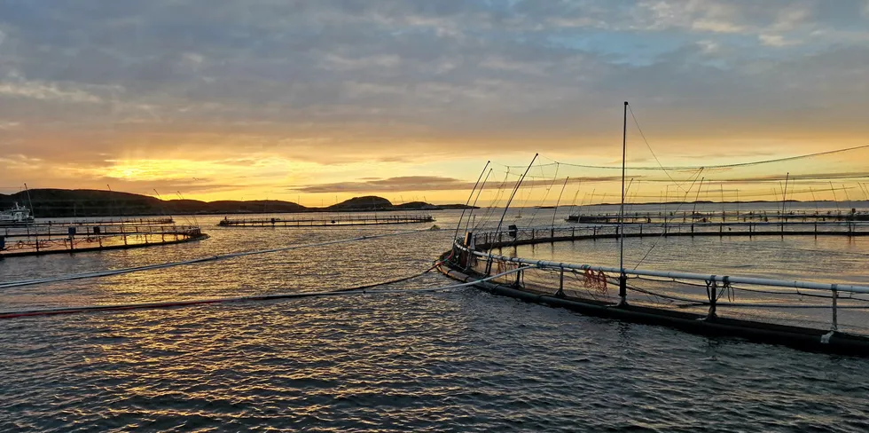 A salmon farm in Froya municipality, central Norway. The farm does not belong to Leroy Seafood and the suspected outbreak of infectious salmon anemia (ISA) occurred at a different farm in the region.