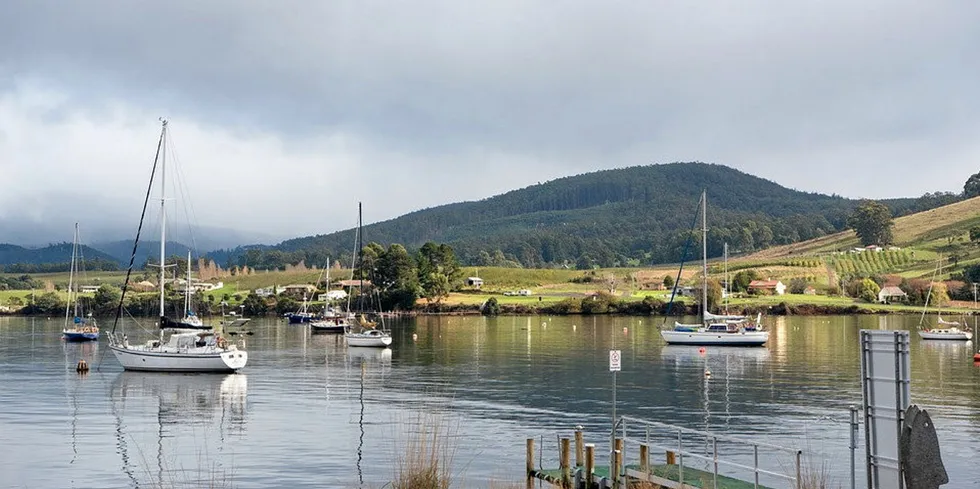 The Huonville-based company focused on a variety of species, including scallops, abalone, sea urchin, oysters and salmon.