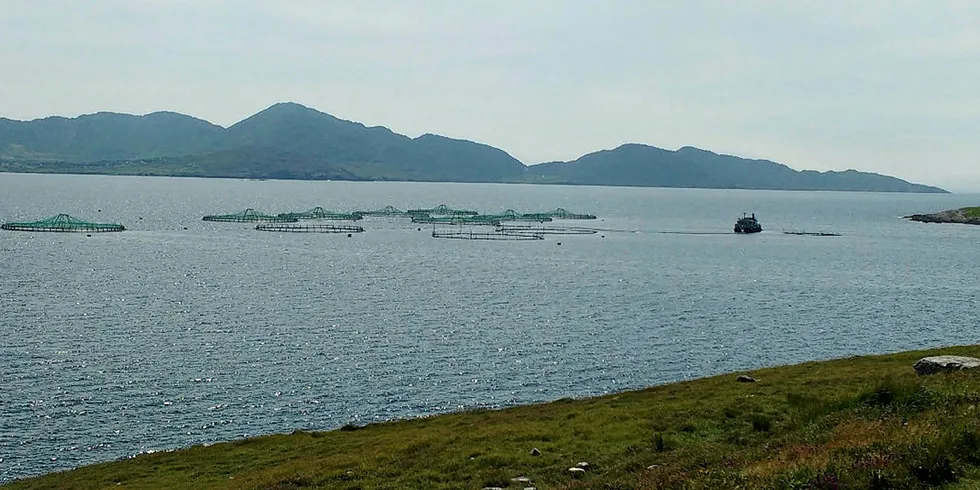 Mowi's Irish farms.