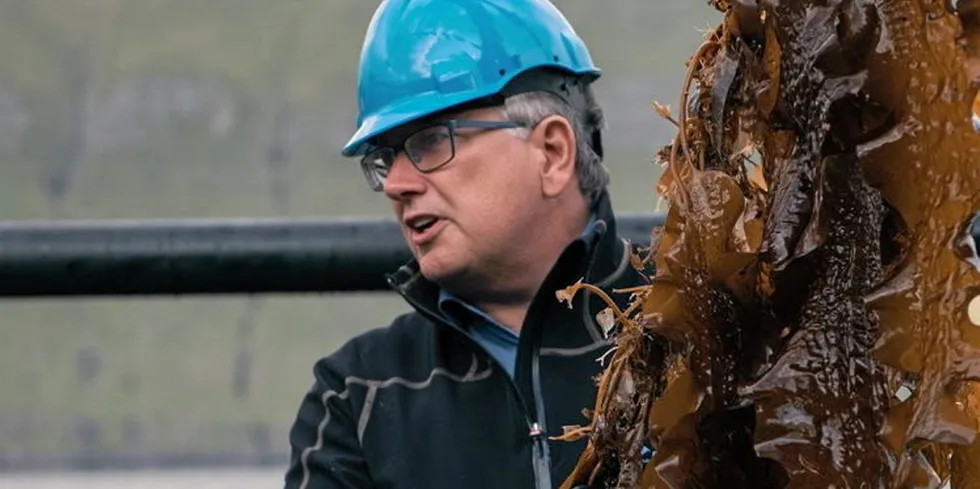 'The investment enables us to scale up operations in the Faroe Islands and continue to commercialize our cultivation and processing activities of Giant Kelp in California,' said Olavur Gregersen, Co-founder and CEO of Ocean Rainforest.