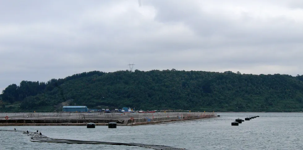The diver is the second to die at an AquaChile site in Aysen is little over a year.