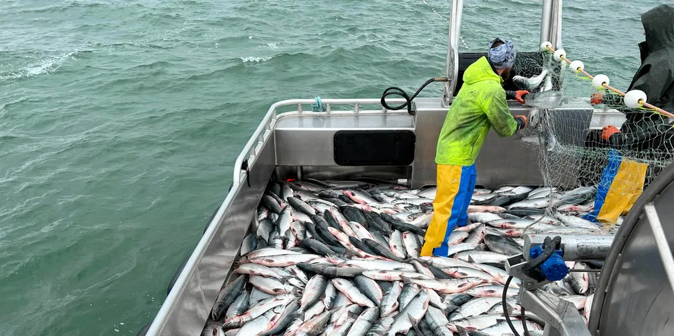 Ronalda Angasan's family fishing in Bristol Bay in July 2023.