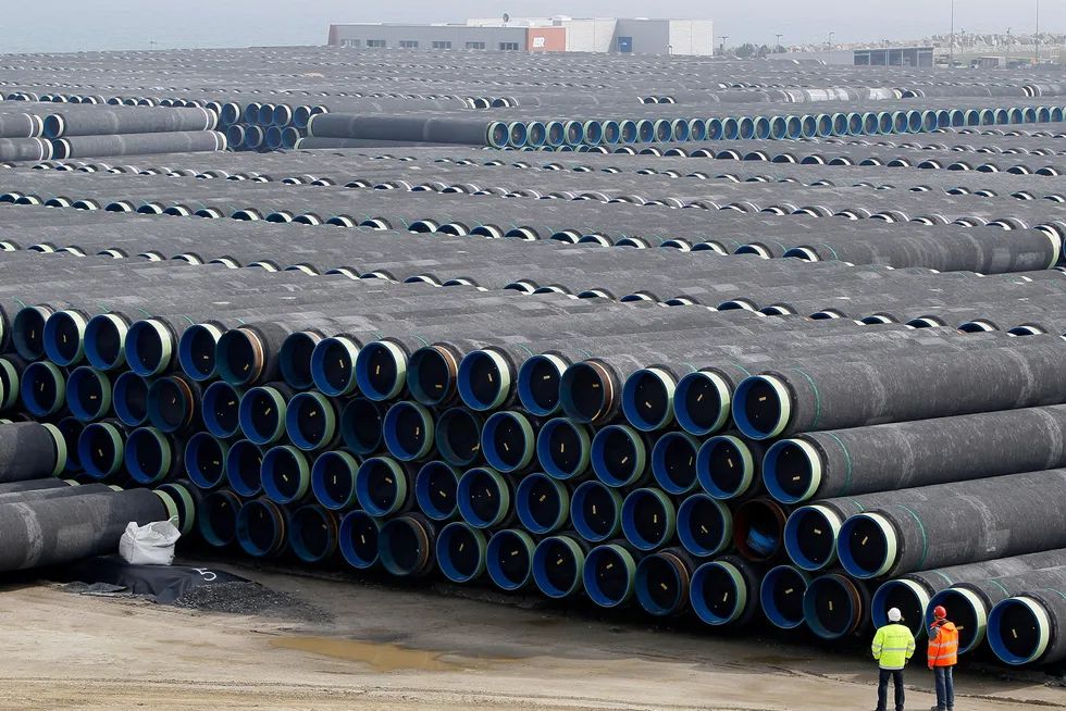 Targets: Concrete coated pipes for Nord Stream 1 project stocked at a storage facility in Mukran on the Baltic sea island of Ruegen in April 2010.