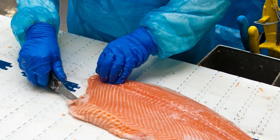 The Dingwall facility was previously owned and operated by Wester Ross Fisheries, which Mowi acquired in June 2022.