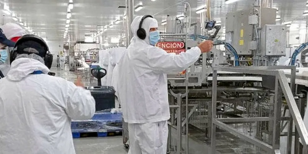 Blumar is the first Chilean salmon producer to undergo a remote inspection by Russian authorities.