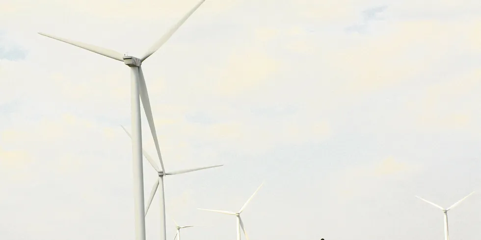 Fantanele wind farm in Romania.