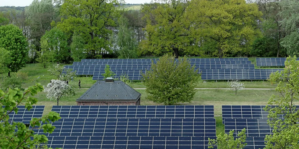 Solar panels at Berlin water utility.