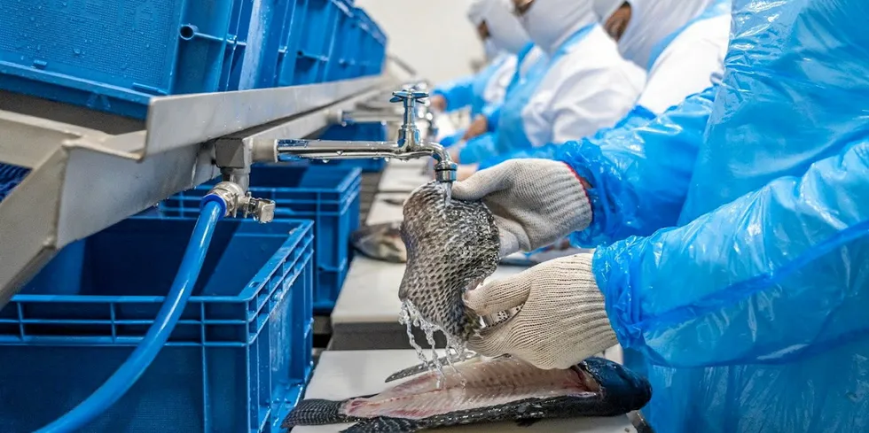 While Brazil's large-scale producers are highly industrialized, smaller producers account for much of the country's production.