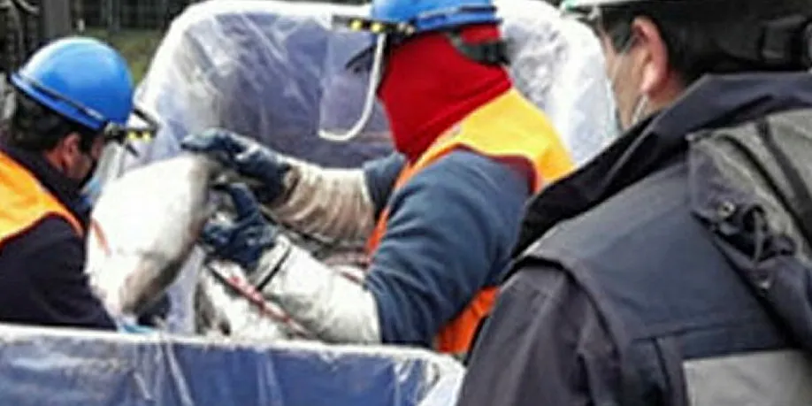 Fisheries and Aquaculture Service Sernapesca is overseeing implementation of Blumar's contingency plan.