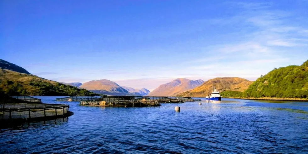 Last week, Mowi launched a community consultation to explore the potential for its new post-smolt program in Scotland.