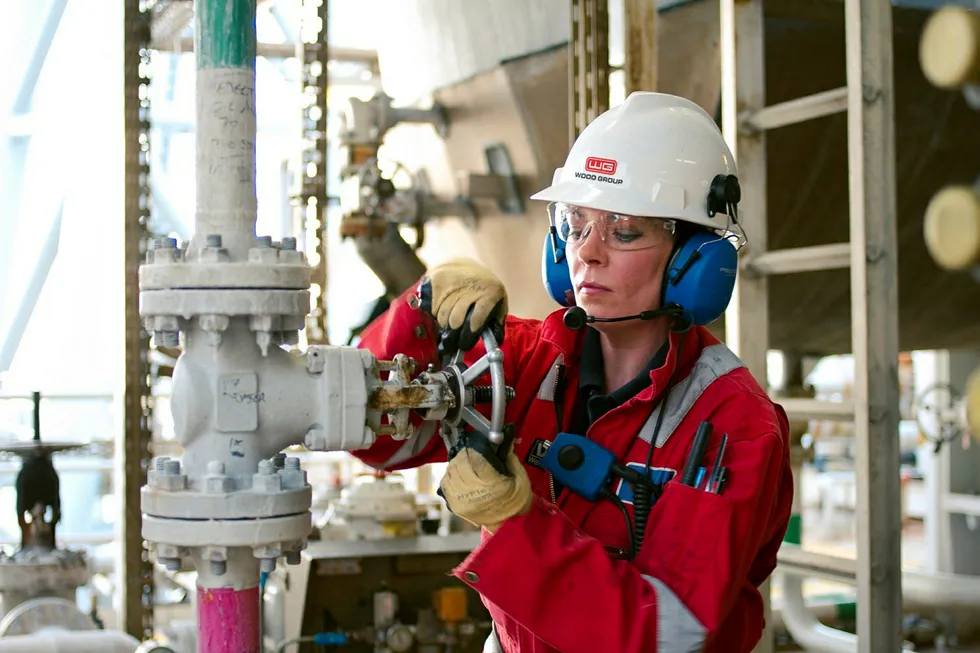 Wood Group profits wane