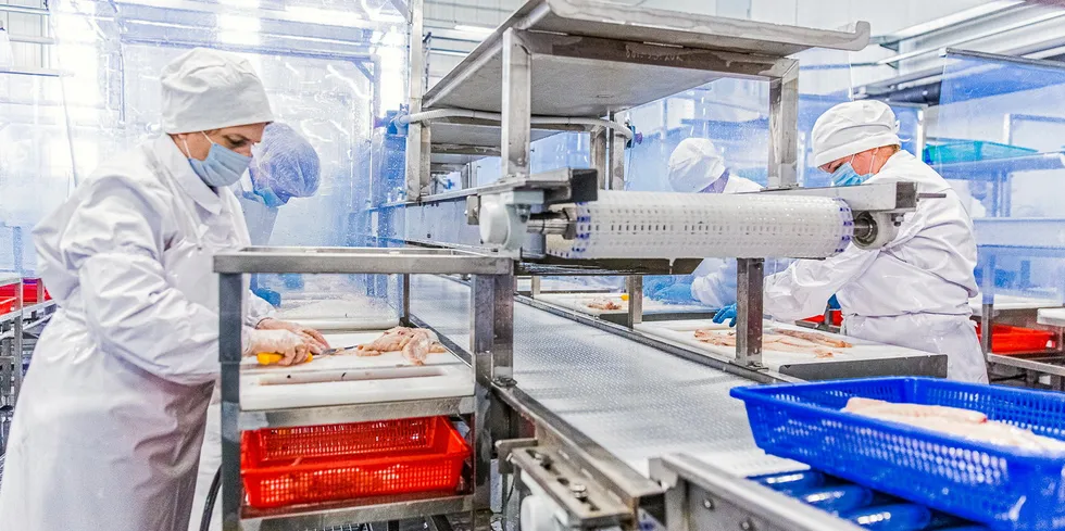 Russian Fishery's pollock factory in Primorye. A legal battle between the Pollock Catchers Association and Russian Fishery in 2020 led to Russian Fishery being ejected from the group over disagreements on fishery reform.