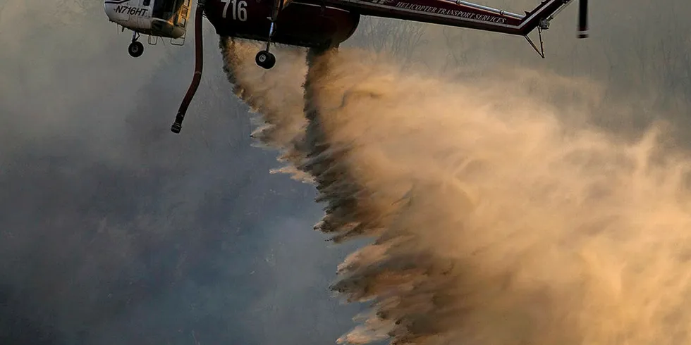 Caused by wildfires linked to climate change, PG&E's bankruptcy has raised urgent questions for California's electricity market.