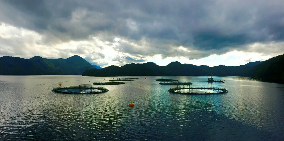 Mowi Canada West's salmon farms in Klemtu, British Columbia. The company agreed to close down a salmon processing plant in the village to help stem the spread of coronavirus.