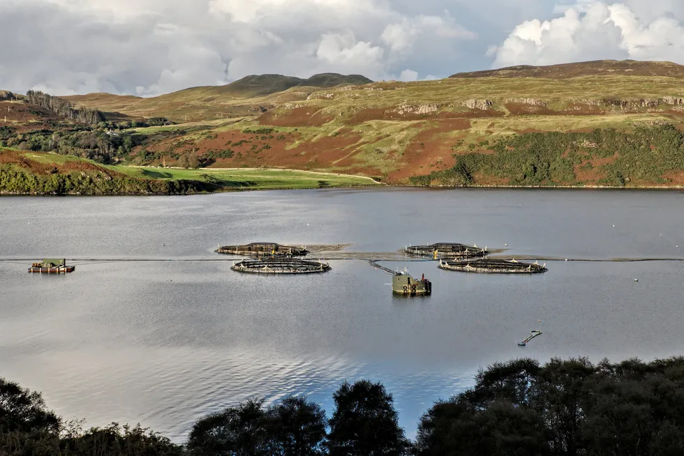 Subject to funding, the would-be cluster’s first focus would be to increase the value of fish side streams, making use of biotech expertise to create, for example, nutritional supplements.