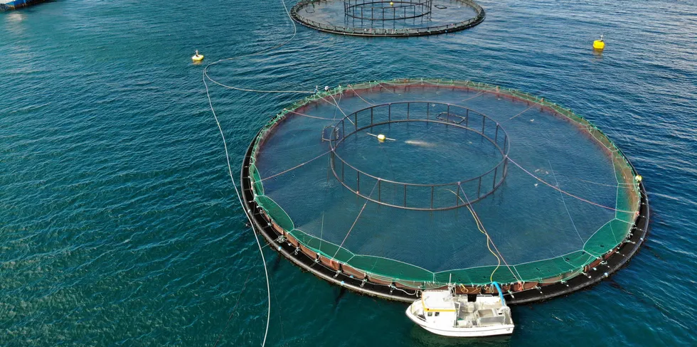 Mowi salmon farming facility in Norway.