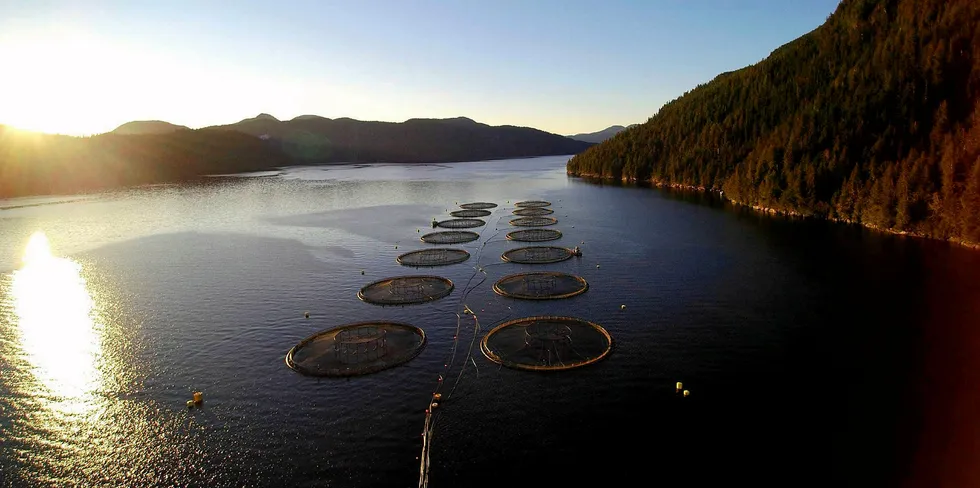 Mowi Canada West's Sheep Pass salmon farming operation in British Columbia. Mowi is the world's largest producer of farmed salmon.