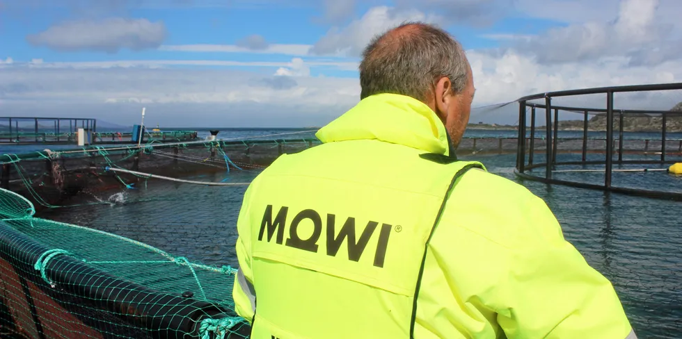 Mowi is offering its employees the opportunity to buy shares in the company.