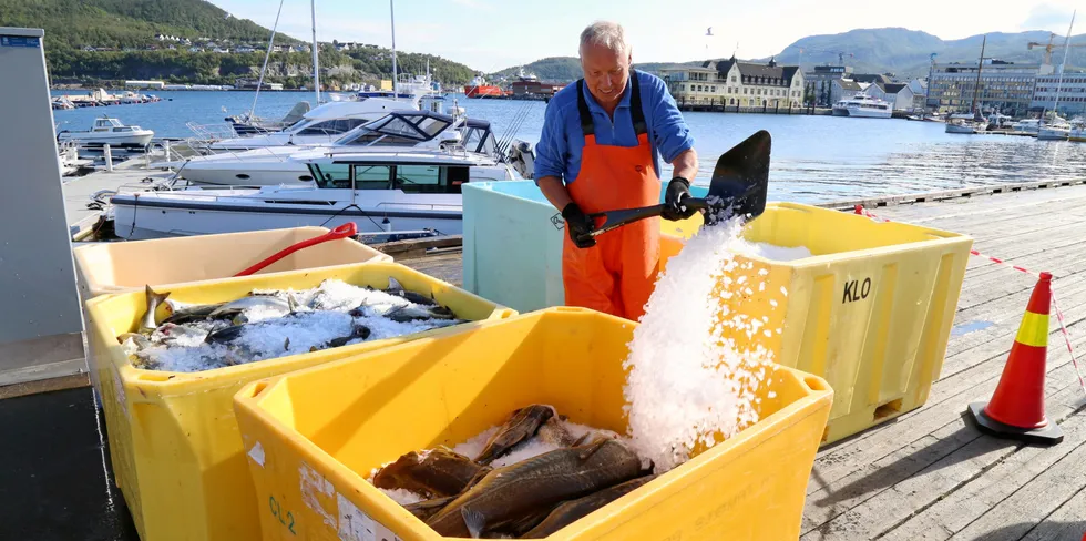 The Norwegian Fishermen's Association, which is the client for the certification, applied to have the inshore cod and haddock fisheries certified separately in April after the eco-label loss, and initially had an ambitious timeline of regaining the certification by January, 2022.