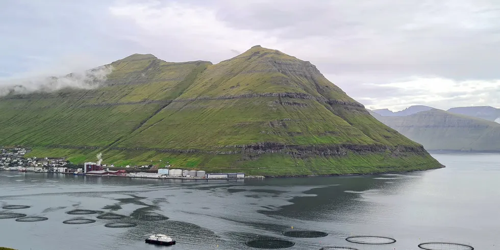 We are in shock and disbelief about what has happened, and our thoughts are with all the people suffering,” Hiddenfjord’s sales manager Oli Hansen said.