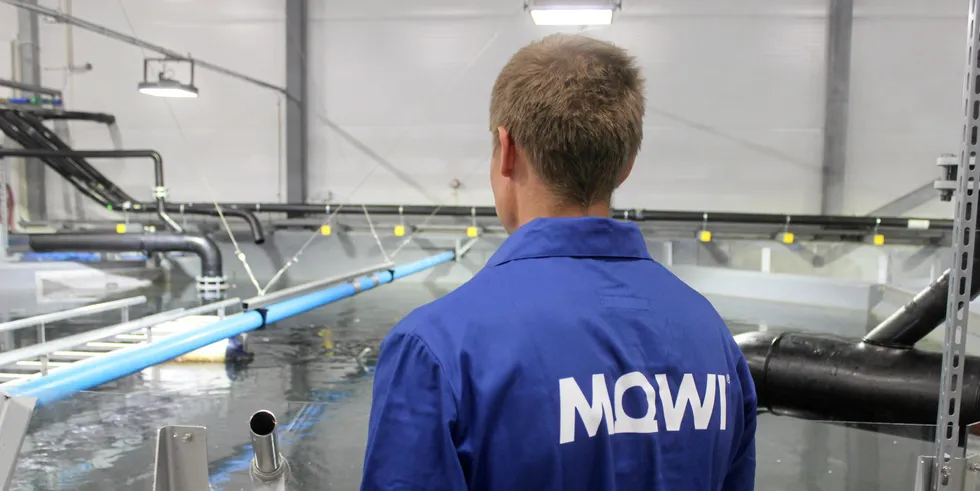 Operational EBIT for Mowi's value-added products (VAP) division -- Consumer Products – sank by 30 percent compared with the same quarter a year ago.
