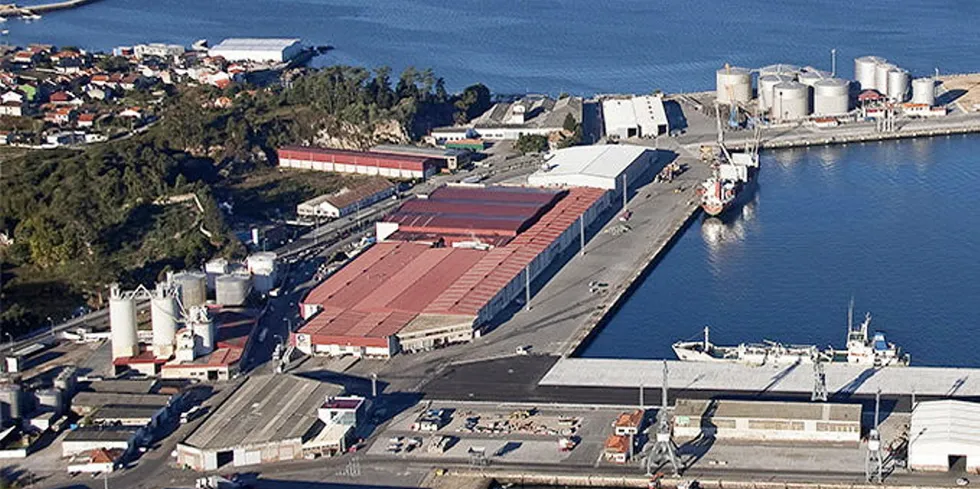 Profand is one of Spain's leading fishing companies, a long-time supplier to retail chain Mercadona, and a world leader in the fishing and marketing of cephalopods, as well as in the sale of fish in protective atmosphere trays.