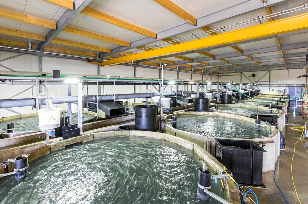 Tanks at The Kingfish Company's Netherlands operation.