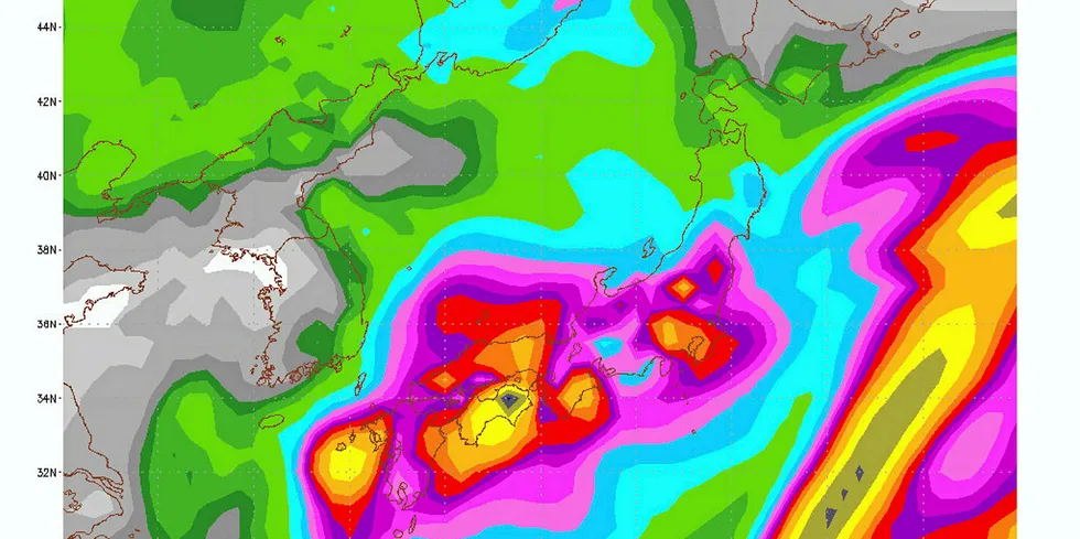 Typhoon Hagibis hit Japan in Oct.