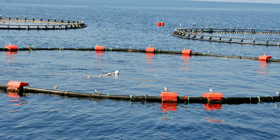Fish farm