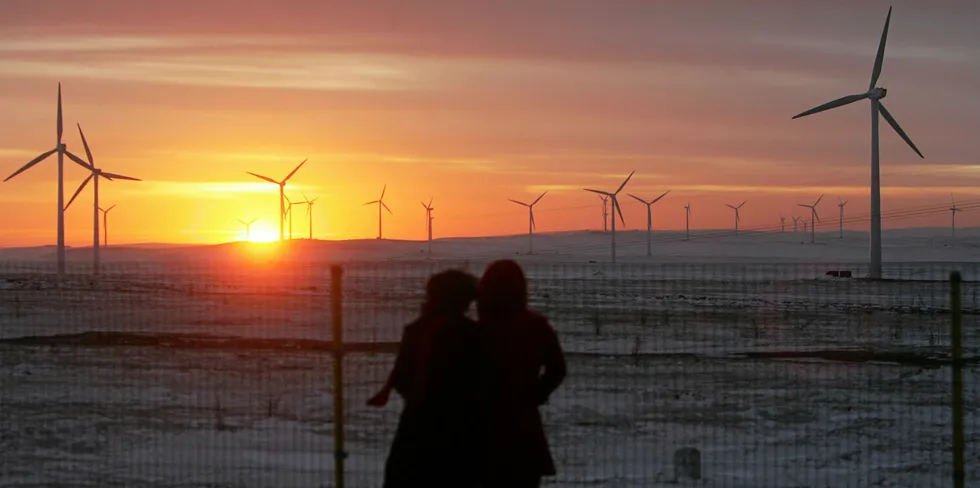 Two tourists view the Huitengxile wind farm in Inner Mongolia at sunset